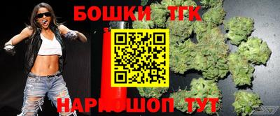индика Бийск