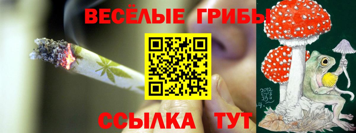 где купить наркотик  Вход с VPN  Зеленокумск  Галлюциногенные грибы GOLDEN TEACHER 